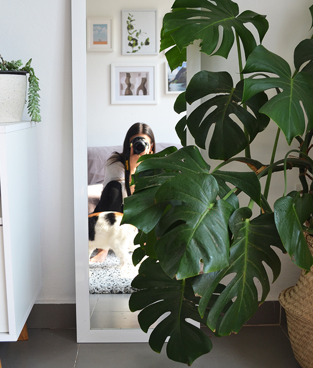 Living Room Decor. Mirror. Floor-length mirror. Plants. Monstera. White aesthetic. Scandinavian style.